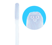 ビバゼットン